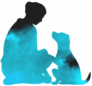 Hundeschule-Rieden-Eifel